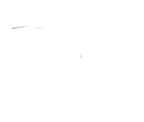 Tony van Rooijen logo